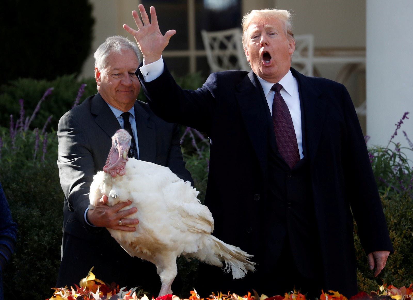 Here's How You Can Talk Politics On Thanksgiving Without Causing Chaos ...